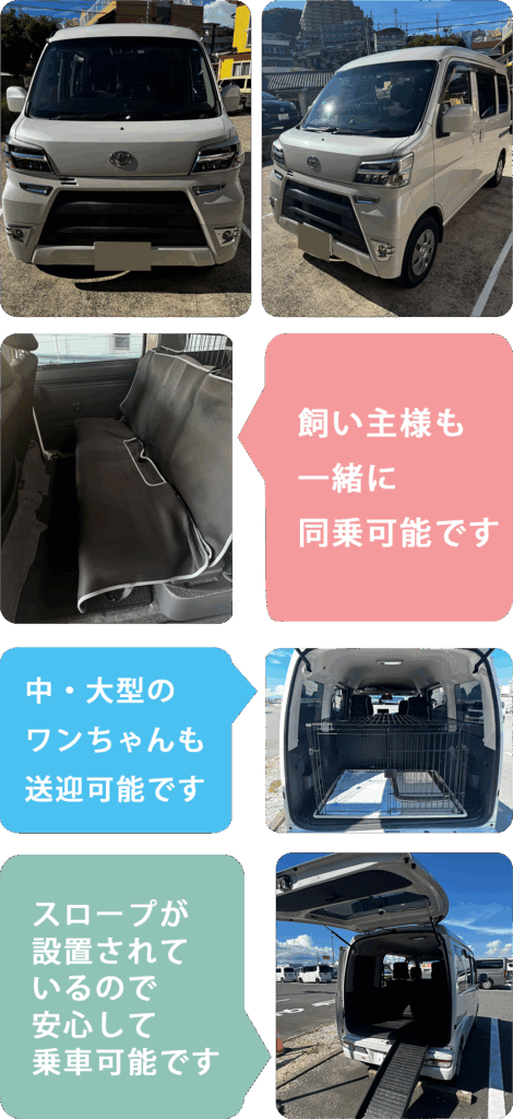 車両画像
飼い主様も一緒に同乗可能です。
中大型のわんちゃんも送迎可能です。
スロープが設置されているので安心して乗車可能です